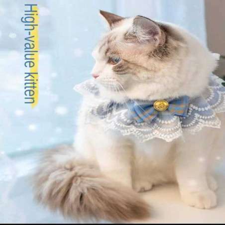  طوق قماش للقطط 