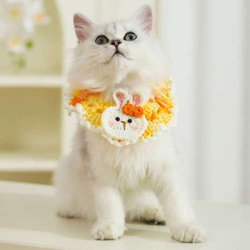 طوق قماش للقطط 