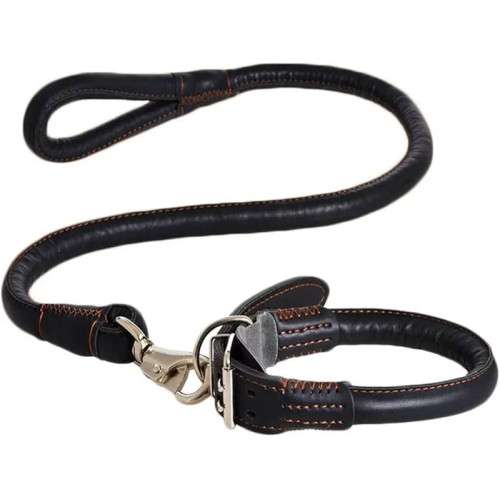 طوق جلد للكلاب