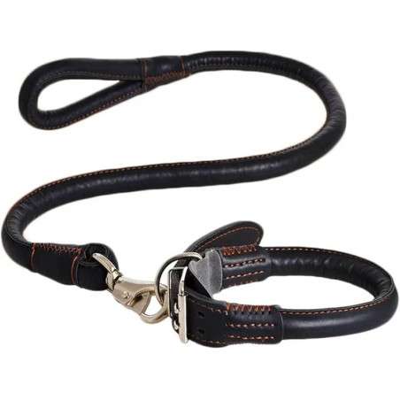 طوق جلد للكلاب