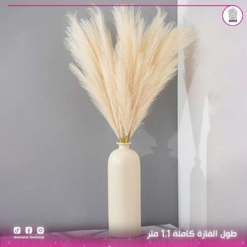 فازة الريش كاملة 