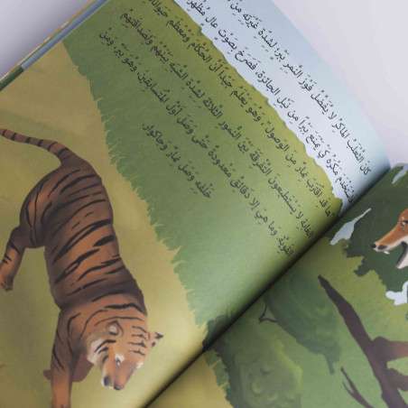 قصة حكاية النمور الثلاثة