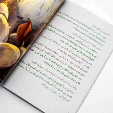 قصة محكمة الغابة الخضراء