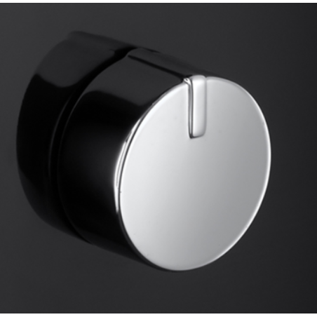 عصارة فواكه راسل هوبز